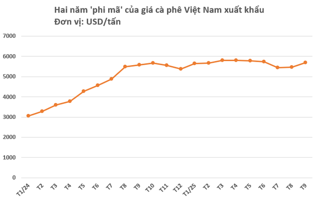Khi vàng của người nông dân vào mùa ‘lấp lánh’: Xuất khẩu phá đỉnh lịch sử 8 tỷ USD, giá liên tục tăng phi mã do yếu tố nào? - Ảnh 3.