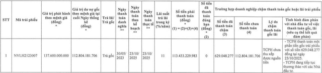 Novaland tiếp tục chậm thanh toán gần 113 tỷ đồng gốc trái phiếu - Ảnh 1.