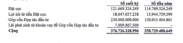 BCTC của CMH Group hé mở mối quan hệ mật thiết với Tuấn Huy Phú Thọ - Ảnh 2.