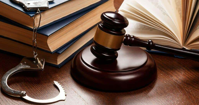 Truy nã đặc biệt Chủ tịch Tổng Công ty Cây xanh Công Minh - Ảnh 1.