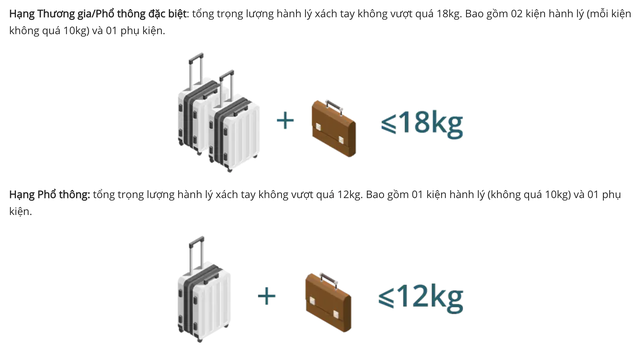 Từ 3/11, Vietnam Airlines sẽ cân hành lý xách tay tại cửa ra tàu bay và thu phí quá cước- Ảnh 3.