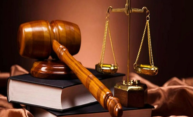 Vì sao Lương thực Thực phẩm Vĩnh Long bị xử phạt? - Ảnh 1.