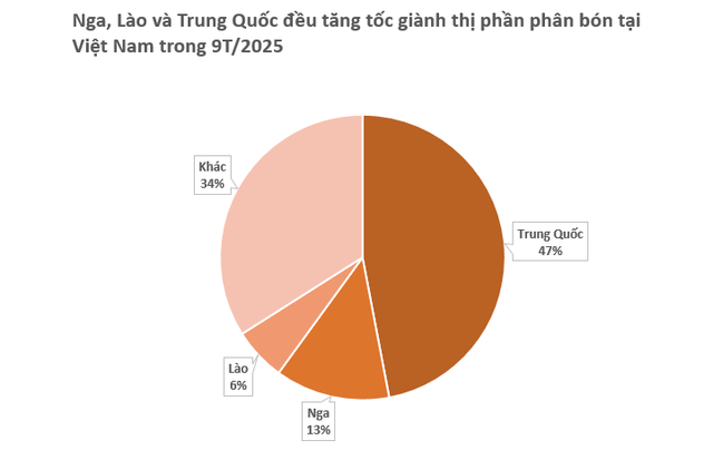 Nga, Lào cùng đưa sang Việt Nam hàng trăm nghìn tấn hàng quan trọng: Nước ta sử dụng gấp 3 lần trung bình thế giới, là ‘chìa khóa’ cho ngành nông sản - Ảnh 2.