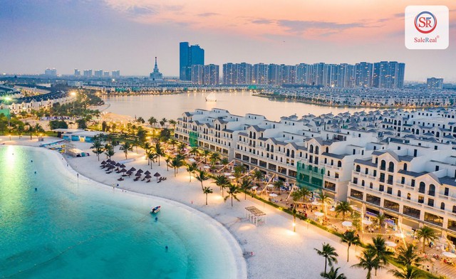 Đằng sau siêu đô thị lấn biển 2.870 ha và những dự án tỷ USD là hai thập kỷ âm thầm chuẩn bị tỷ phú Phạm Nhật Vượng - Ảnh 4.