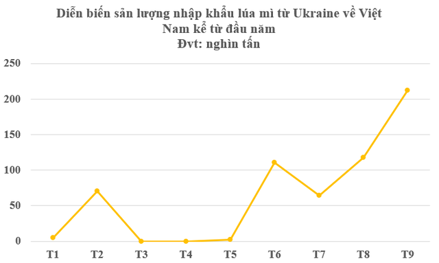 Ukraine bất ngờ đưa hàng trăm tấn hàng vào Việt Nam chỉ trong 1 tháng: Thuế nhập khẩu 0%, nước ta đứng top tiêu thụ trên thế giới - Ảnh 3.
