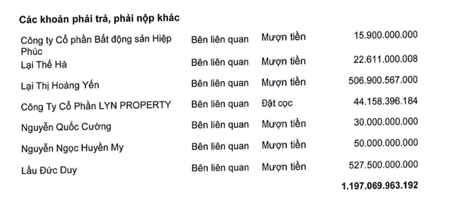 Quốc Cường Gia Lai tăng mạnh vay tiền của người thân lãnh đạo, đã trả 900 tỷ đồng cho Sunny Island - Ảnh 1.