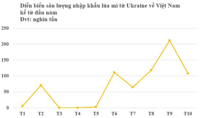 Không phải gạo hay ngô, Ukraine vừa đưa hàng trăm nghìn tấn nông sản quan trọng về Việt Nam chỉ trong 1 tháng: Nước ta tiêu thụ đứng top thế giới, thuế nhập khẩu 0% - Ảnh 2.