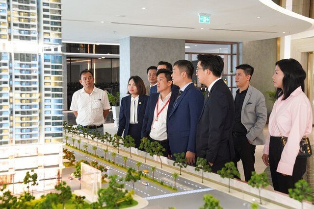 TS Nguyễn Văn Đính nói về sự lệch pha cung - cầu trên thị trường và yêu cầu “phanh lại” đà tăng giá nhà - Ảnh 2.