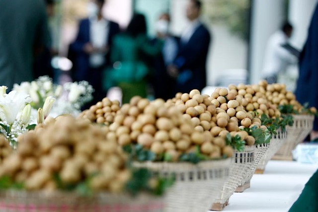 Đặc sản triệu đô của Việt Nam được Trung Quốc siêu mê, mệnh danh là "vương giả chi quả", diện tích trồng hơn 68.000 ha - Ảnh 1.