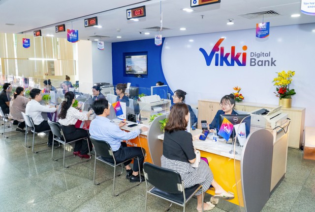 Công bố kết luận thanh tra Vikki Bank Bình Dương - Ảnh 1.