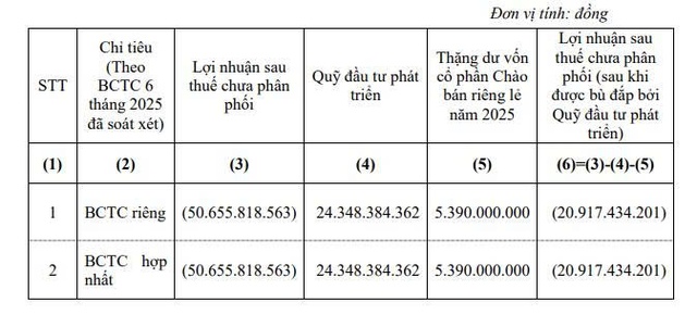 Ladophar muốn dùng quỹ đầu tư phát triển và thặng dư vốn để khắc phục lỗ lũy kế - Ảnh 1.