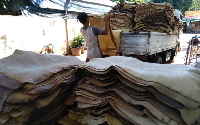 Hàng chục nghìn tấn 'vàng trắng' của Việt Nam được Indonesia săn lùng: diện tích trồng hơn 900.000 ha, nước ta là ông trùm top 5 thế giới - Ảnh 1.