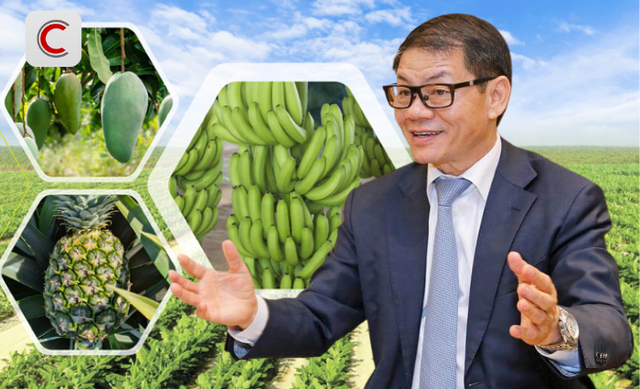 Tỷ phú Trần Bá Dương kể về thương vụ bán chuối trong 10 năm cho "ông trùm" nông nghiệp Fresh Del Monte: Chúng tôi phải cam kết nếu chất lượng dưới 90% chuẩn sẽ bị phạt 1 USD mỗi thùng (13 kg)- Ảnh 1. Tỷ phú Trần Bá Dương kể về thương vụ bán chuối trong 10 năm cho "ông trùm" nông nghiệp Fresh Del Monte: Chúng tôi phải cam kết nếu chất lượng dưới 90% chuẩn sẽ bị phạt 1 USD mỗi thùng (13 kg)- Ảnh 1.