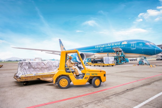 Dịch vụ Hàng hóa Nội Bài sắp chia cổ tức bằng tiền mặt tỷ lệ 80% - Ảnh 1.