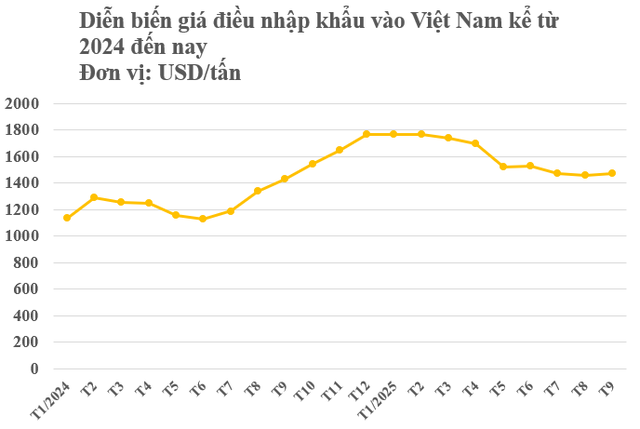 Campuchia, châu Phi cùng đưa sang Việt Nam một loại nông sản quan trọng: Là trợ lực giúp nước ta xuất khẩu bỏ xa thế giới, giá ngày càng đắt đỏ - Ảnh 2.