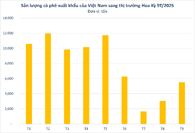 Mỹ giảm thuế suất từ 20% xuống 0%, cà phê Việt Nam đứng trước cơ hội vàng bứt phá tại thị trường lớn nhất thế giới? - Ảnh 2.
