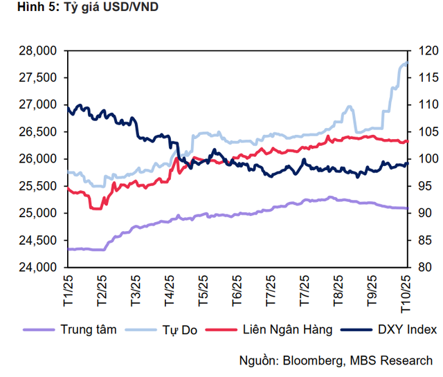 Tỷ giá USD chợ đen tăng hơn 8% từ đầu năm, riêng tháng 10 tăng gần 5% - Ảnh 2.