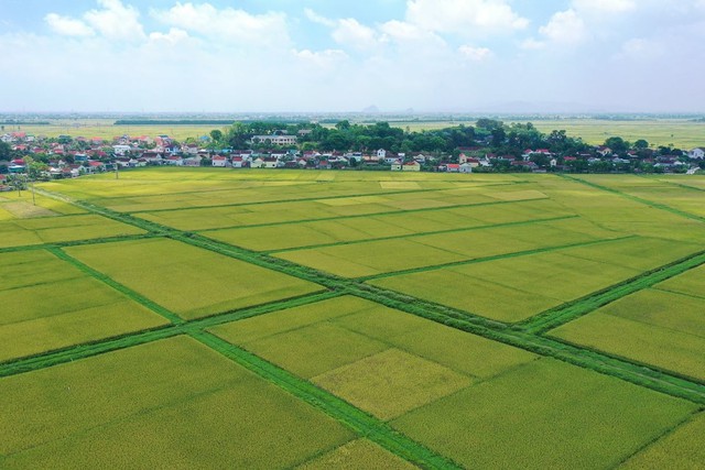 Đối tượng nào được miễn thuế sử dụng đất nông nghiệp đến hết năm 2030 - Ảnh 1.