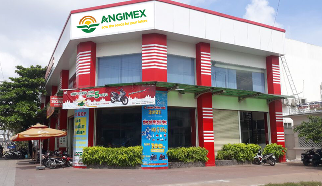 Angimex bị xử phạt do vi phạm công bố thông tin - Ảnh 1.