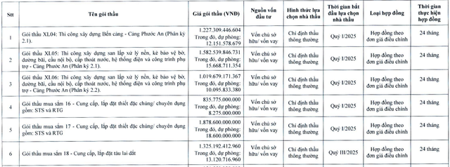 11 cá nhân dự mua 125 triệu cổ phiếu riêng lẻ của Cảng Phước An - Ảnh 2.