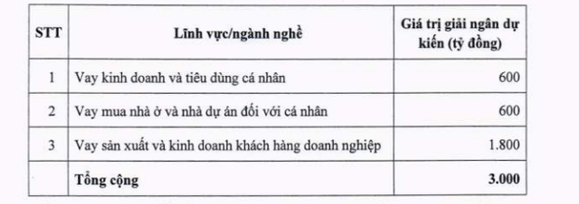 VPBank lên kế hoạch phát hành 3.000 tỷ đồng trái phiếu - Ảnh 1.