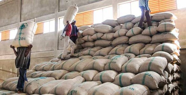 Hàng chục nghìn tấn hàng của Việt Nam được Nga đổ tiền mua với giá cực đắt: thuế nhập khẩu 0%, sản lượng hơn 1 triệu tấn/năm - Ảnh 1.