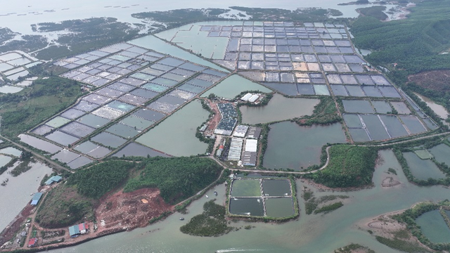 BIM Group khởi công 3 dự án gần 10.500 tỷ đồng tại Quảng Ninh - Ảnh 4.