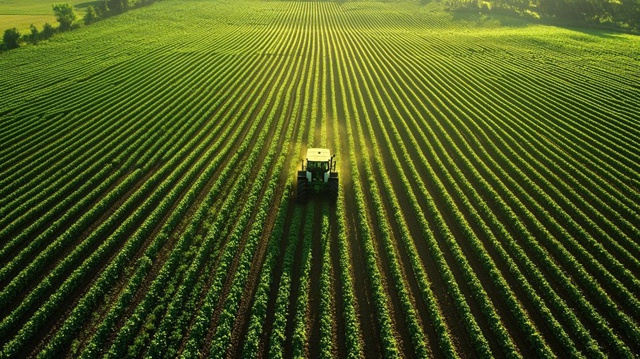 Quy mô vốn hàng trăm tỷ đồng, Agronexus Capital vẫn chậm đóng bảo hiểm - Ảnh 1.