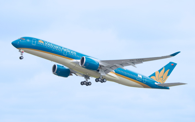 Vietnam Airlines bổ nhiệm 1 Phó Tổng Giám đốc - Ảnh 1.