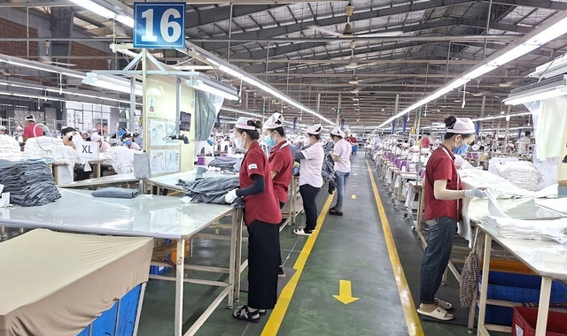 Panko Vina giải thể: Quyền lợi người lao động được xử lý thế nào? - Ảnh 1.