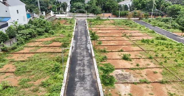 Thông tin quan trọng về phân lô, tách thửa đất từ ngày 1/1/2026   - Ảnh 1.