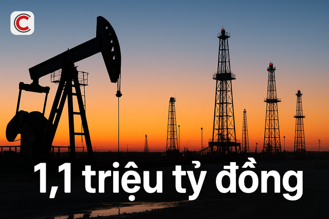 Một doanh nghiệp Việt lập kỷ lục chưa từng có: Doanh thu 1,1 triệu tỷ đồng, tương đương 9-10% GDP- Ảnh 1.