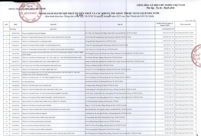 3 doanh nghiệp nợ thuế cả nghìn tỷ đồng ở TP.HCM - Ảnh 1.