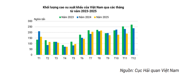 Biến động tại "thủ phủ" xe điện toàn cầu: Mặt hàng tỷ USD của Việt Nam trong chuỗi lốp xe rơi vào thế khó- Ảnh 2.