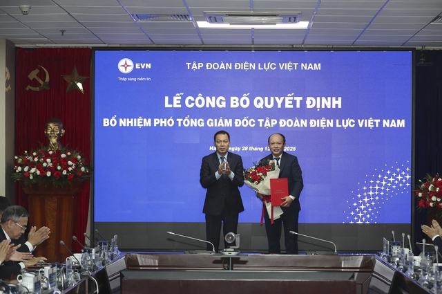 EVN bổ nhiệm 2 Phó Tổng giám đốc mới - Ảnh 2.