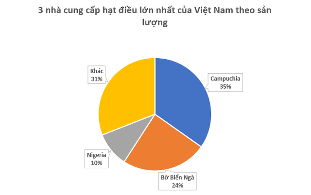 Cứu tinh từ châu Phi đổ bộ giúp Việt Nam thống trị ngôi vương toàn cầu: Nước ta chi hơn 4 tỷ USD mua hàng - Ảnh 2.