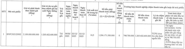 BNP Global chậm thanh toán hơn 1.200 tỷ đồng gốc trái phiếu - Ảnh 1.