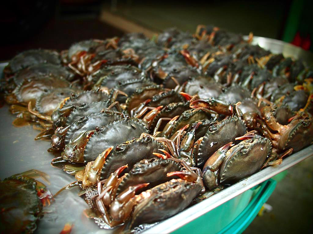 Kho báu dưới nước của Việt Nam "bơi" sang Mỹ, Nhật Bản siêu đắt hàng: xuất khẩu tăng khủng hơn 600%, chất lượng vượt trội hàng đầu thế giới - Ảnh 2.