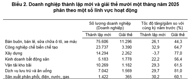 Bình quân mỗi tháng có 18.700 doanh nghiệp rút lui khỏi thị trường- Ảnh 2.