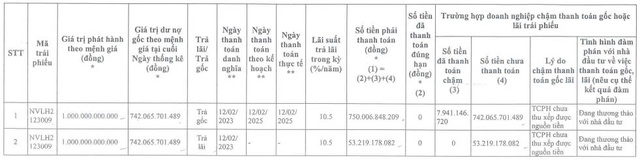 Novaland tiếp tục chậm trả hơn 795 tỷ đồng gốc và lãi trái phiếu- Ảnh 1.