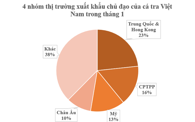 Một loại cá người Việt thu hoạch 1,6 triệu tấn/năm, xuất khẩu đứng đầu thế giới: Thu hơn 100 triệu USD kể từ đầu năm, Mỹ, Trung Quốc liên tục tìm mua- Ảnh 1.