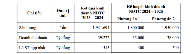 Hoa Sen Group lên kế hoạch lợi nhuận 'đi lùi' trong niên độ tài chính 2024 - 2025- Ảnh 2.