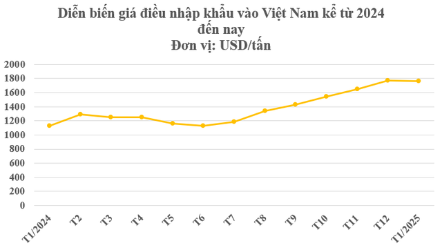Hàng chục nghìn tấn hàng từ châu Phi giúp Việt Nam xuất khẩu bỏ xa cả thế giới: Giá tăng phi mã, nước ta chi hơn 170 triệu gom hàng trong tháng 1- Ảnh 1. Hàng chục nghìn tấn hàng từ châu Phi giúp Việt Nam xuất khẩu bỏ xa cả thế giới: Giá tăng phi mã, nước ta chi hơn 170 triệu gom hàng trong tháng 1- Ảnh 1.