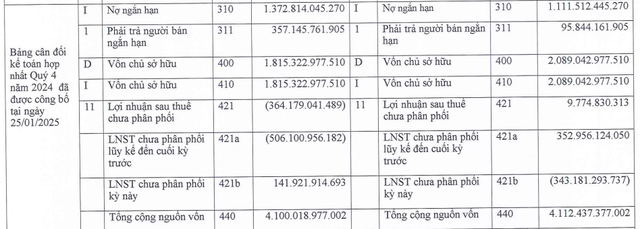 Sau đính chính BCTC quý IV/2024, TIG có thêm công ty con, chuyển từ lỗ sang lãi lũy kế- Ảnh 1.