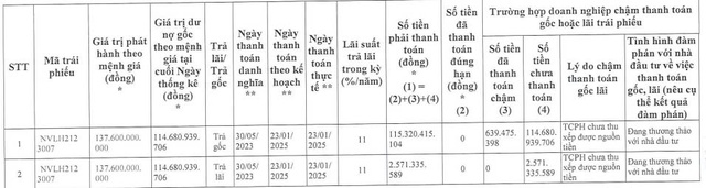 Novaland chậm thanh toán gốc và lãi trái phiếu hơn 117 tỷ đồng- Ảnh 1.