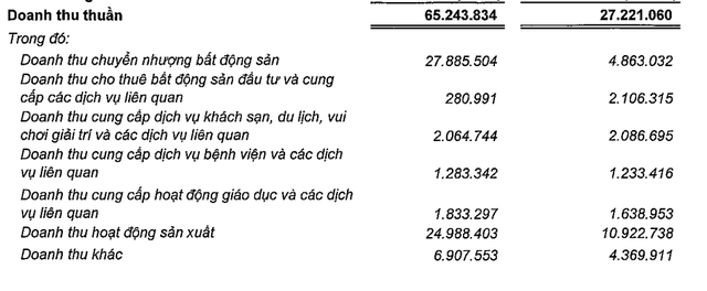 Vingroup báo doanh thu chuyển nhượng bất động sản quý IV/2024 gấp gần 6 lần cùng kỳ- Ảnh 1.