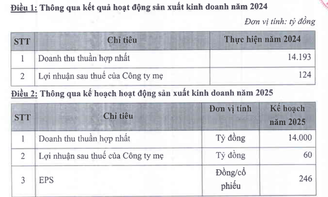 An Phát Holdings đặt mục tiêu lợi nhuận năm 2025 bằng một nửa năm 2024- Ảnh 1.