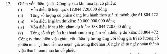 Sữa Quốc tế Lof lên kế hoạch lợi nhuận năm 2025 'đi lùi', dự kiến giảm vốn điều lệ- Ảnh 2.