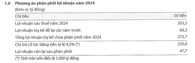 Chứng khoán Kafi lên kế hoạch lãi gấp 3 lần, dự kiến tăng vốn lên 7.500 tỷ đồng- Ảnh 2.