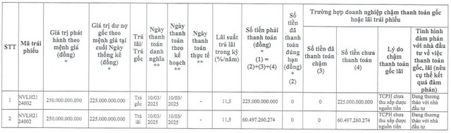 Novaland chậm thanh toán gốc và lãi trái phiếu hơn 285 tỷ đồng- Ảnh 1.